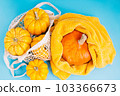 Composition of different varieties pumpkins.Happy Thanksgiving.Halloween Pumpkins.vegetable fall food concept.Minimalist style.Various of pumpkins on a blue background.Autumn vegetables. 103366673