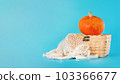 Autumn vegetables.Minimalist style.Composition of different varieties of pumpkins.Various of pumpkins in a basket on a blue background. Pumpkins on blue background.vegetable fall food concept. 103366677