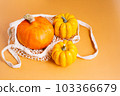 Pumpkins autumn background. Different pumpkin varieties.Orange background. Space for text and copy space. Autumn postcard. minimalist style 103366679