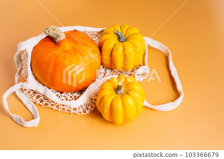 Pumpkins autumn background. Different pumpkin varieties.Orange background. Space for text and copy space. Autumn postcard. minimalist style Pumpkins autumn background. Different pumpkin varieties.Orange background. Space for text and copy space. Autumn postcard. minimalist style 103366679