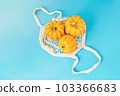 Autumn vegetables.Various of pumpkins in a basket on a blue background.Composition of different varieties of pumpkins.. Pumpkins on blue background.vegetable fall food concept.Minimalist style. 103366683