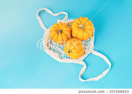 Autumn vegetables.Various of pumpkins in a basket on a blue background.Composition of different varieties of pumpkins.. Pumpkins on blue background.vegetable fall food concept.Minimalist style. 103366683