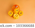 Pumpkins of different varieties.Orange background.copy space. Autumn postcard. Minimalist style.Composition of pumpkins.Autumn season,fall harvest, Happy Thanksgiving.Halloween Pumpkins. 103366688
