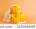 Different varieties of Pumpkins in mesh bag of fabric on orange background.Autumn concept.Copy space.Composition of pumpkins.Happy Thanksgiving.Vegetable fall food concept.Autumn Halloween Pumpkins. 103366689