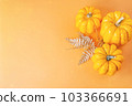 Autumn season, fall harvest, Happy Thanksgiving.Halloween Pumpkins.Different pumpkin varieties.Orange background.Space for text and copy space. Autumn postcard. Minimalist style.Border Design. 103366691