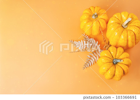Autumn season, fall harvest, Happy Thanksgiving.Halloween Pumpkins.Different pumpkin varieties.Orange background.Space for text and copy space. Autumn postcard. Minimalist style.Border Design. Autumn season, fall harvest, Happy Thanksgiving.Halloween Pumpkins.Different pumpkin varieties.Orange background.Space for text and copy space. Autumn postcard. Minimalist style.Border Design. 103366691