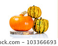 Autumn postcard. minimalist style Pumpkins of different varieties. Pumpkins of different varieties.Pumpkins autumn background. Isolated background. Space for text and copy space. 103366693