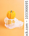 Composition of pumpkins.Happy Thanksgiving.Vegetable fall food concept.Autumn Halloween Pumpkins.Different varieties of Pumpkins in mesh bag of fabric on orange background.Autumn concept.Copy space. 103366695