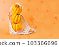 Different varieties of Pumpkins in mesh bag of fabric on orange background.Autumn concept.Copy space.Composition of pumpkins.Happy Thanksgiving.Vegetable fall food concept.Autumn Halloween Pumpkins. 103366696