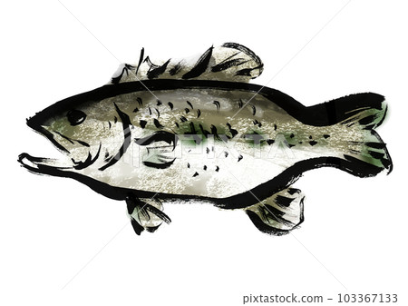 黑鱸手繪日式插畫 黑鱸手繪日式插畫 103367133