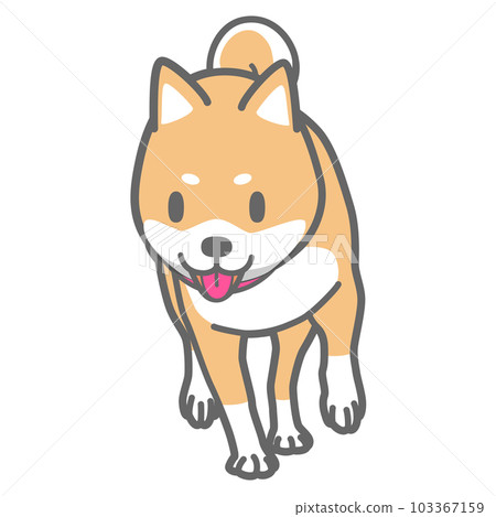 Shiba Inu 行走的矢量插圖 103367159