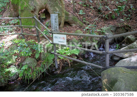 群馬縣東岳妻町箱島泉水採樣點 群馬縣東岳妻町箱島泉水採樣點 103367586