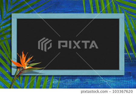 Brilliant blue wall and blackboard with coconut leaves and strelitzia Brilliant blue wall and blackboard with coconut leaves and strelitzia 103367620