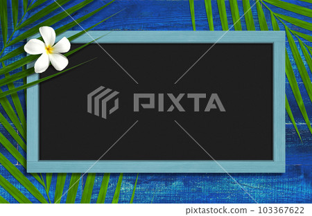 精采藍色牆壁和黑板有椰子葉子和雞蛋花的 103367622