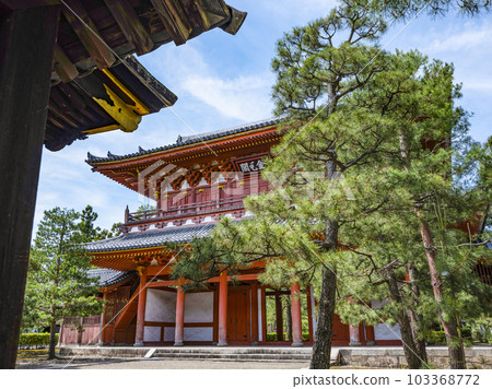 龍寶山大德寺門(金閣) 龍寶山大德寺門(金閣) 103368772
