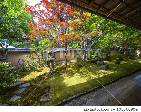 Daitokuji Temple Korin-in Abbot's back garden Daitokuji Temple Korin-in Abbot's back garden 103368909