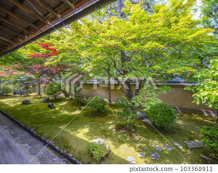 大德寺香輪院方丈的後花園 103368911
