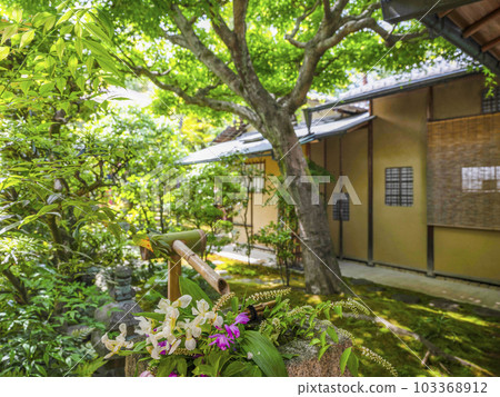 光輪院、大德寺茶室前花盆 103368912