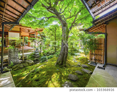 大德寺光輪院茶室前庭園 103368916