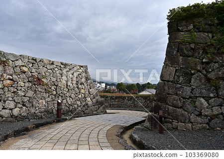 Sasayama Castle Ruins in Autumn Sasayama Castle Ruins in Autumn 103369080