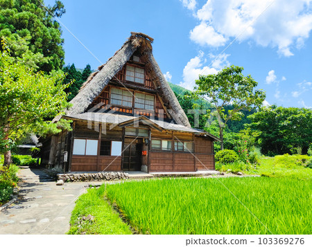 五箇山菅沼合掌造村(夏) 五箇山菅沼合掌造村(夏) 103369276