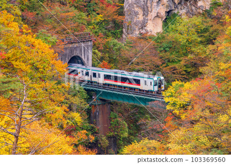 [Miyagi Prefecture] Trains that cross the autumn colors of Naruko Gorge 103369560