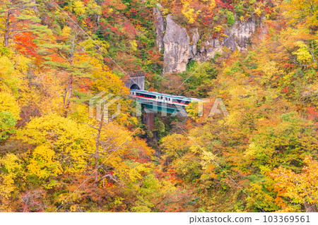 [宮城縣]穿越鳴子峽秋天色彩的火車 103369561