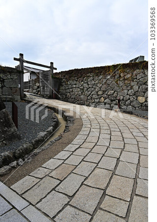 Sasayama Castle Ruins in Autumn Sasayama Castle Ruins in Autumn 103369568