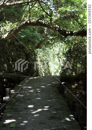 Ukinjuu innju 103369592