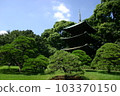 Chinzanso garden 103370150