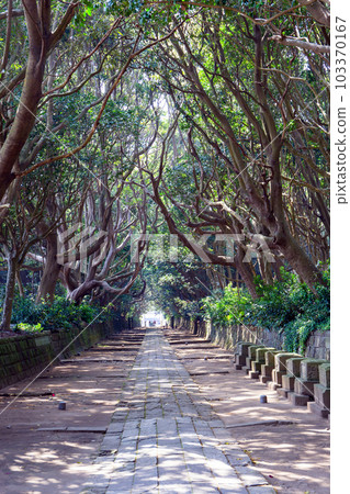 The approach of Tubanoki (vertical) 103370167