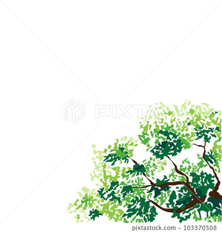 green leaves and branches vector illustration 103370508