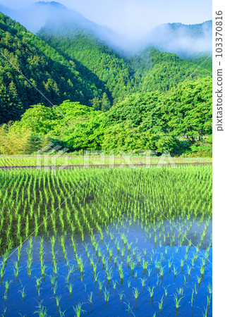 Along the Oashi River, the scenery from the Kominehara Highway, the season of fresh greenery, Kanuma City 103370816
