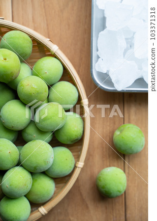 Ume work image Ume work image 103371318