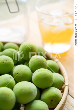 Ume work image 103371352