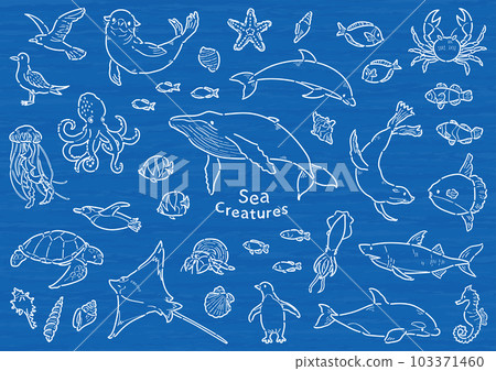 海洋生物插圖集線條圖 海洋生物插圖集線條圖 103371460