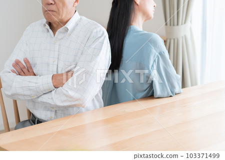 Senior couple fighting Senior couple fighting 103371499