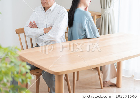 Senior couple fighting Senior couple fighting 103371500