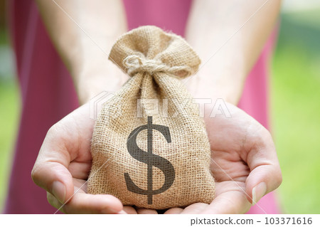 Hand of a woman carrying a purse money .concept saving money and investment concept 103371616