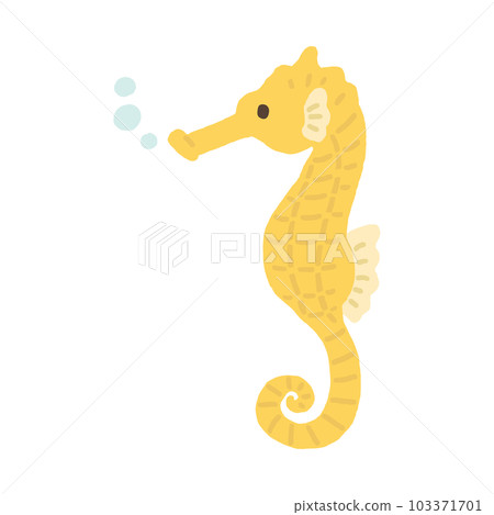 海馬 海馬 103371701