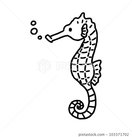 海馬單色 海馬單色 103371702