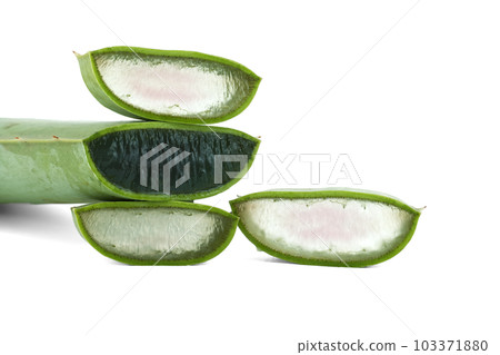 Sliced Aloe Vera leaf isolated on white background 103371880