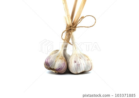 Garlic bulbs in close-up on white background 103371885