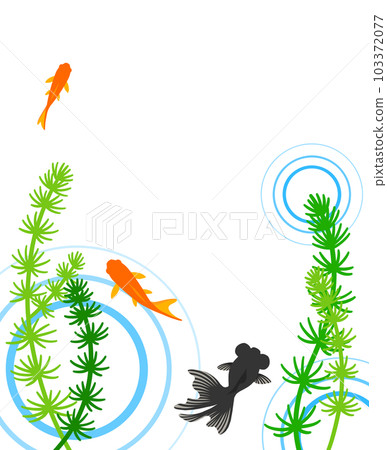 Demekin and Wakin swimming underwater 103372077