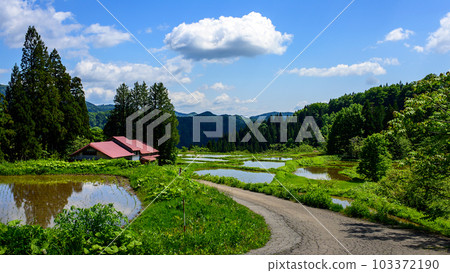 Spring: Japan's original landscape Rice terraces after rice planting, Akita Prefecture 103372190