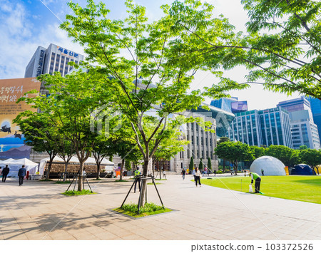 Seoul Plaza and Seoul Library in the morning Seoul Plaza and Seoul Library in the morning 103372526