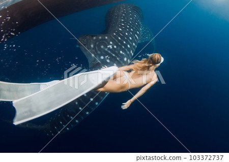 Young slim woman and whale shark in ocean. Silhouette of giant shark underwater and beautiful lady Young slim woman and whale shark in ocean. Silhouette of giant shark underwater and beautiful lady 103372737