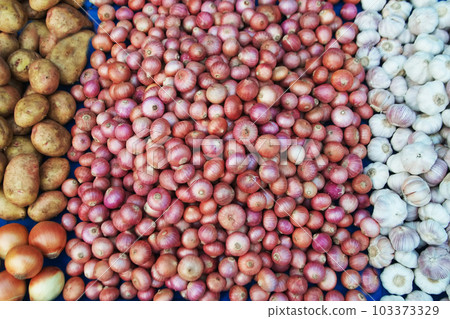 Texture or background of pile of common onions , white garlic and potato shallots raw vegetables fresh organic food. Texture or background of pile of common onions , white garlic and potato shallots raw vegetables fresh organic food. 103373329