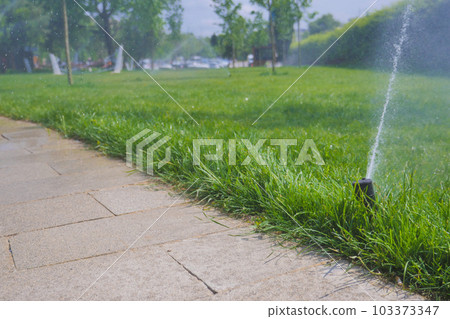automatic watering grass, garden lawn sprinkler in action. automatic watering grass, garden lawn sprinkler in action. 103373347