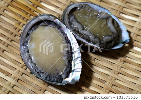 Abalone Abalone 103373510